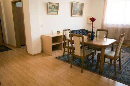 Town Hall 3 Bedroom Apartment Vilnius Exterior photo